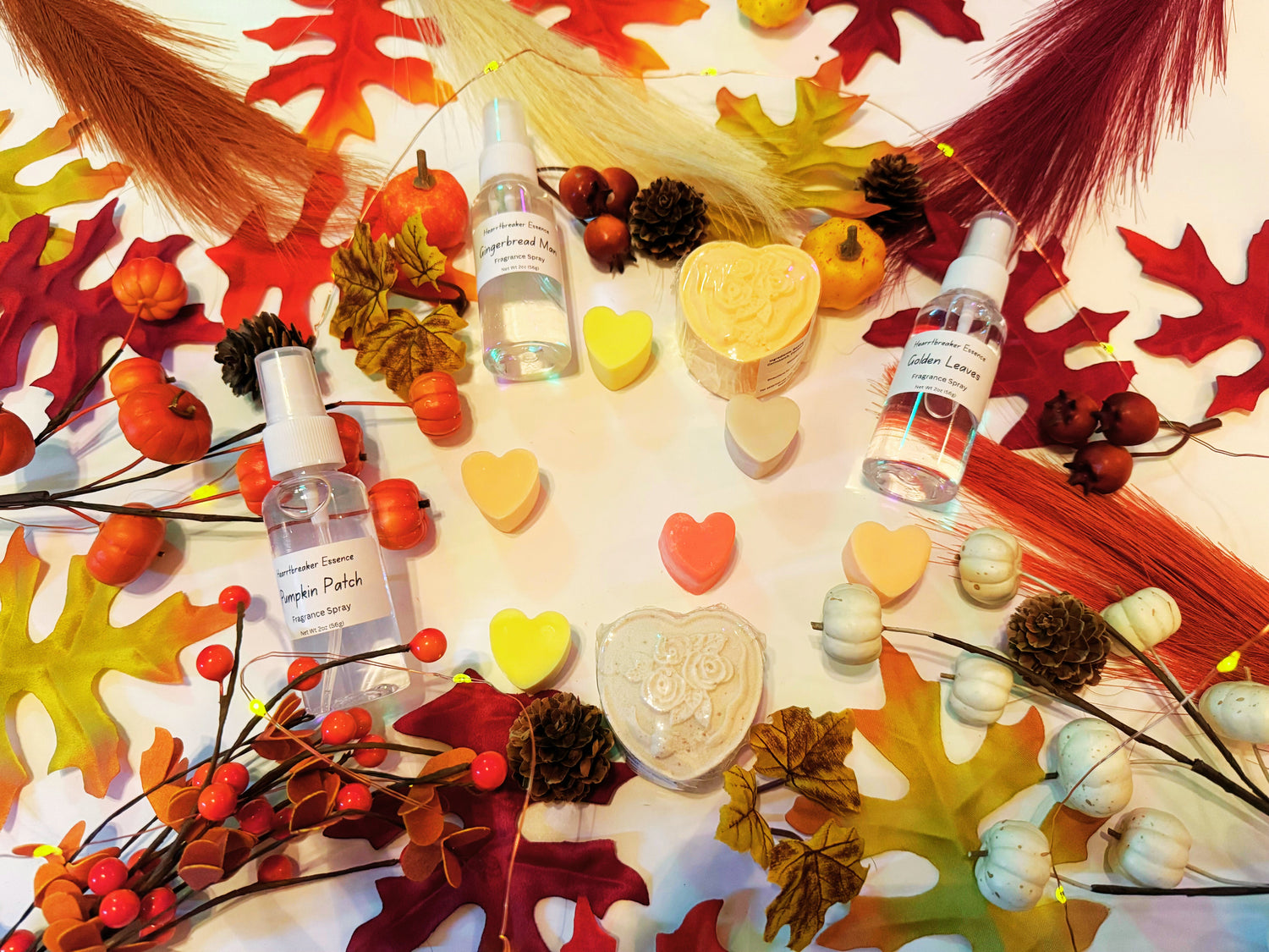 Melt Into Fall Collection