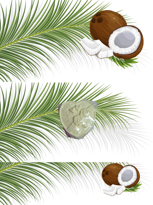 Coconut Crush Shower Steamer