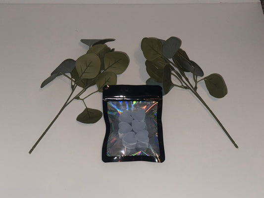 Endless Eucalyptus Wax Melts