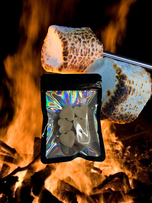 S’mores Wax Melts